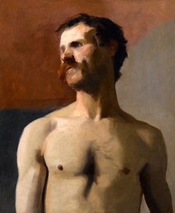 Desnudo masculino - estudio de vida, c.1885